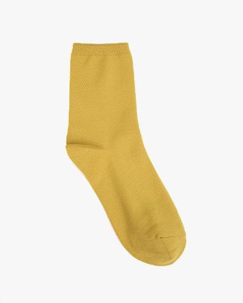 rainbow daily socks