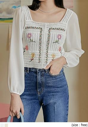 Embroidered Bodice Cropped Blouse