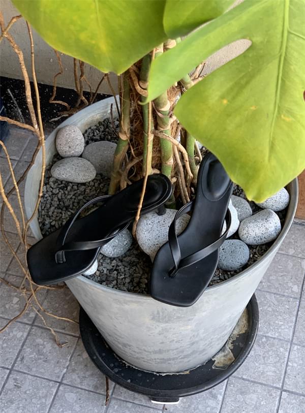 Millet jolly shoes