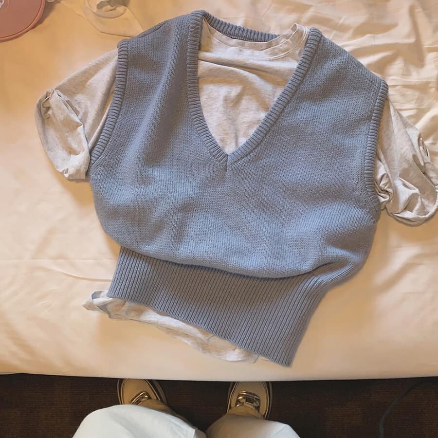[WONT]ネイブウール(vest)
